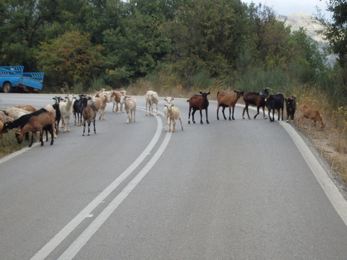 Cycle from Kalavrita to Patras.