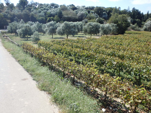 Cycle from Kalavrita to Patras.