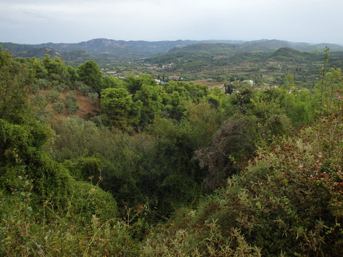 A view across ancient Olympia.