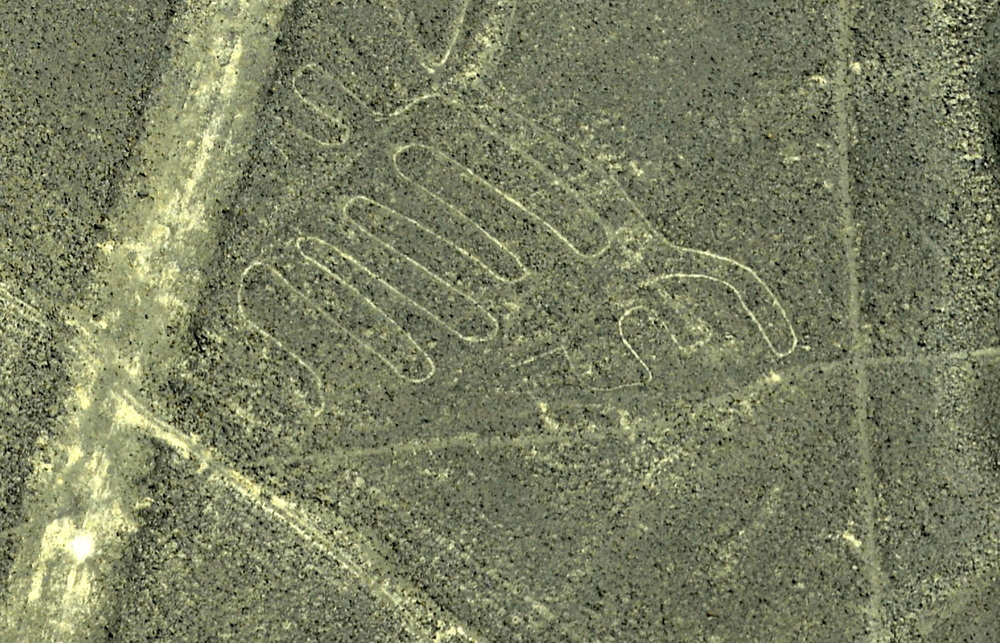 Nazca Lines Peru: Parrot.