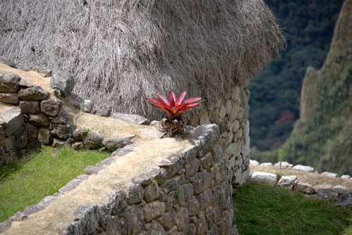 Machu Picchu.