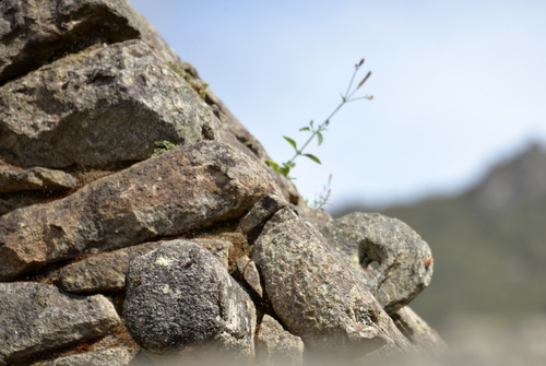 Machu Picchu.