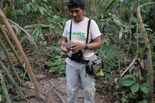 Jungle Hike in the Amazon.