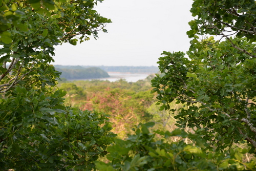 Corto Maltes Amazonia Ecolodge.