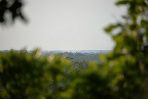 Corto Maltes Amazonia Ecolodge.