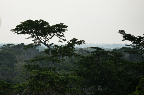 Corto Maltes Amazonia Ecolodge.