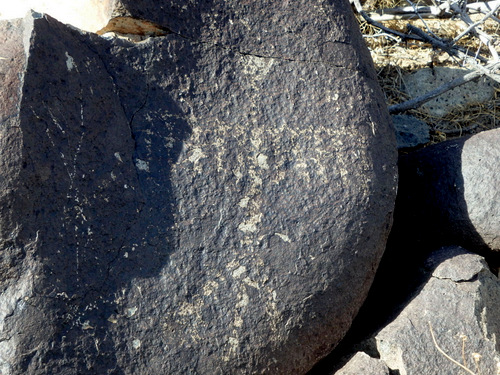 Three Rivers Petroglyphs Site.