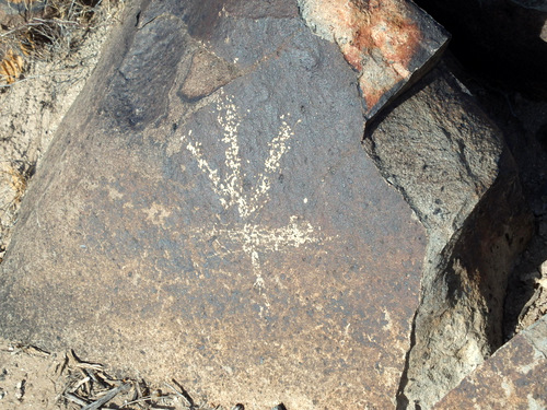 Three Rivers Petroglyphs Site.