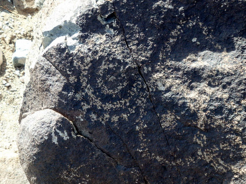 Three Rivers Petroglyphs Site.