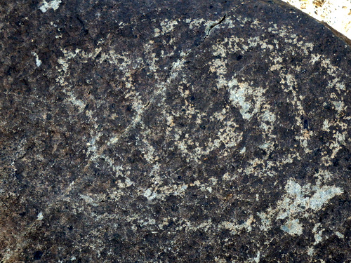 Three Rivers Petroglyphs Site.