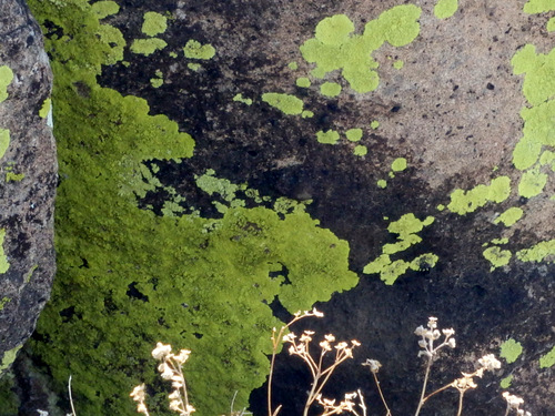 Three Rivers Petroglyphs Site.