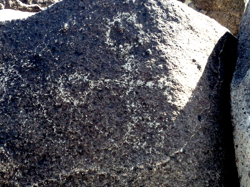 Three Rivers Petroglyphs Site.