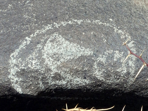 Three Rivers Petroglyphs Site.