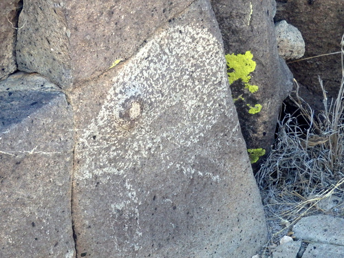 Three Rivers Petroglyphs Site.