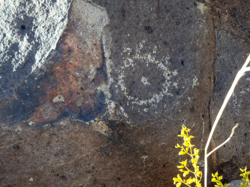 Three Rivers Petroglyphs Site.