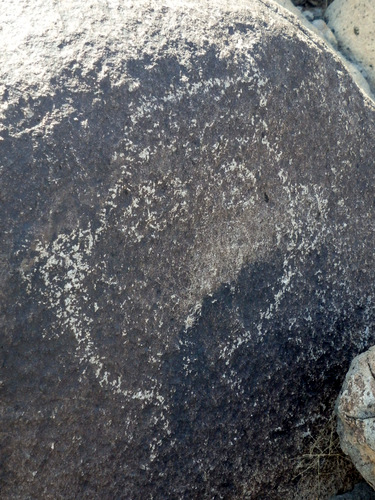 Three Rivers Petroglyphs Site.