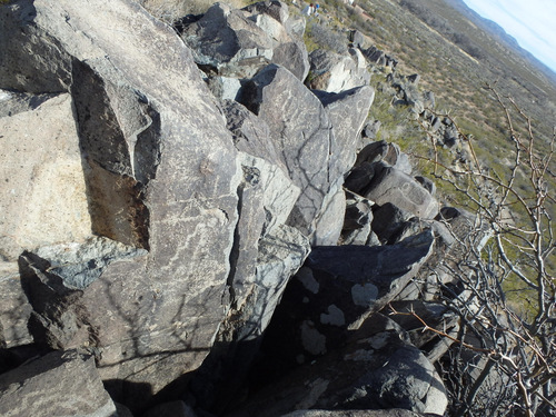 Three Rivers Petroglyphs Site.