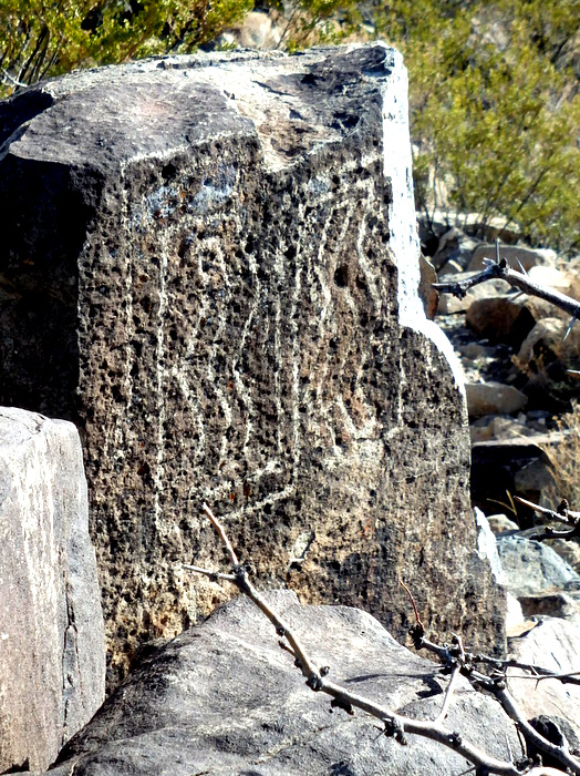 Three Rivers Petroglyphs Site.