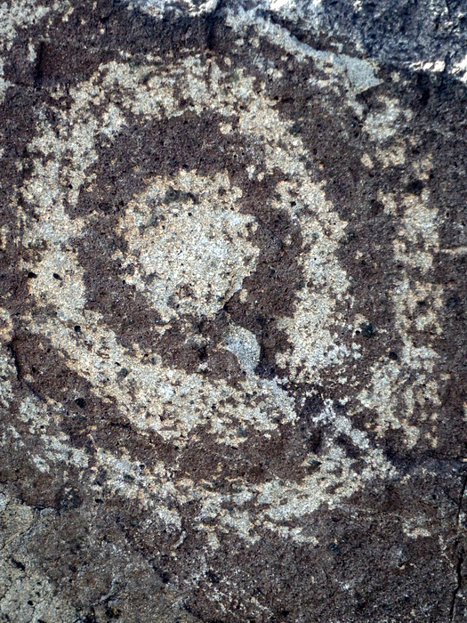 Three Rivers Petroglyphs Site.