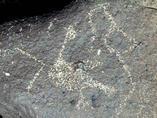 Three Rivers Petroglyphs Site.