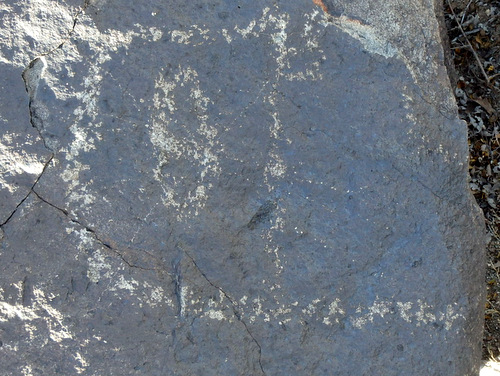 Three Rivers Petroglyphs Site.