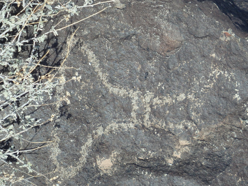 Three Rivers Petroglyphs Site.