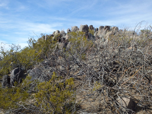 Three Rivers Petroglyphs Site.