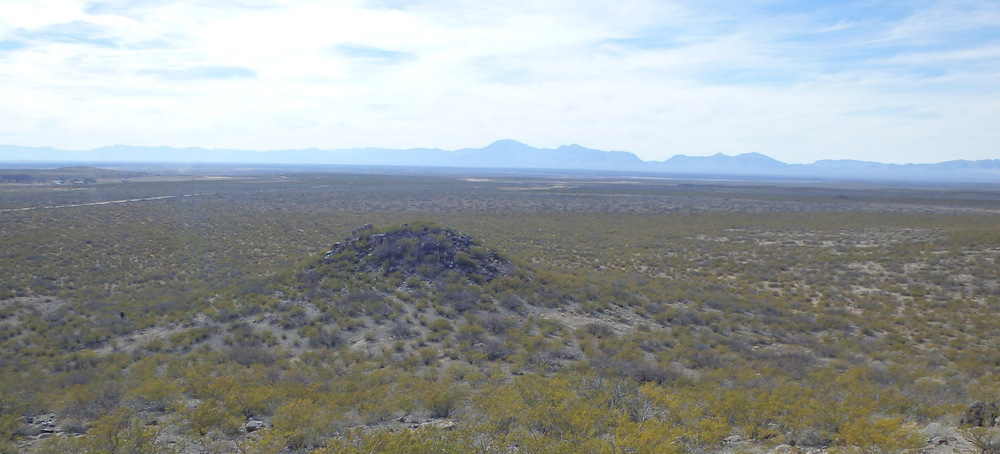 Three Rivers Petroglyphs Site.