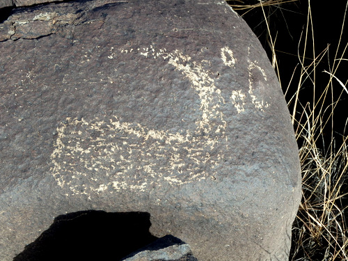 Three Rivers Petroglyphs Site.