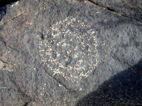 Three Rivers Petroglyphs Site.