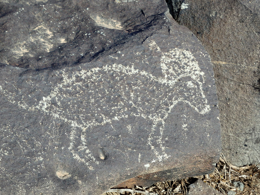 Three Rivers Petroglyphs Site.