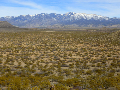 Three Rivers Petroglyphs Site.