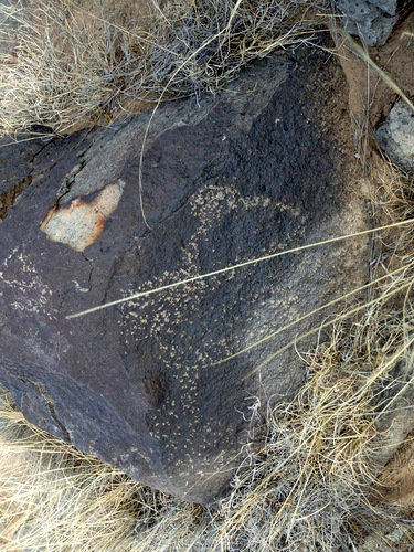 Three Rivers Petroglyphs Site.