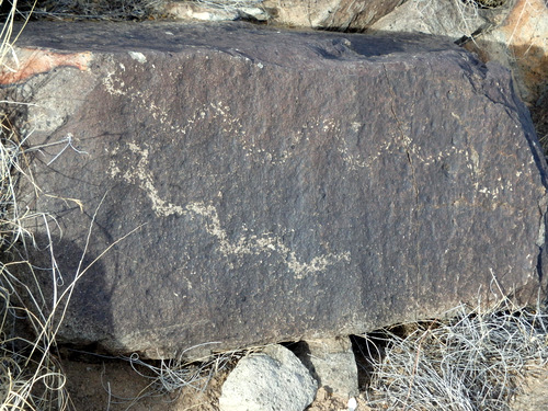 Three Rivers Petroglyphs Site.