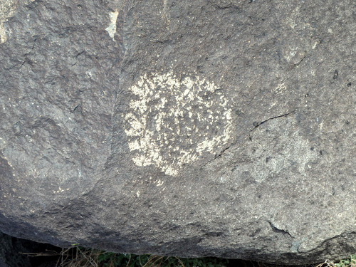 Three Rivers Petroglyphs Site.