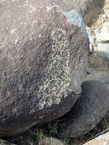 Three Rivers Petroglyphs Site.