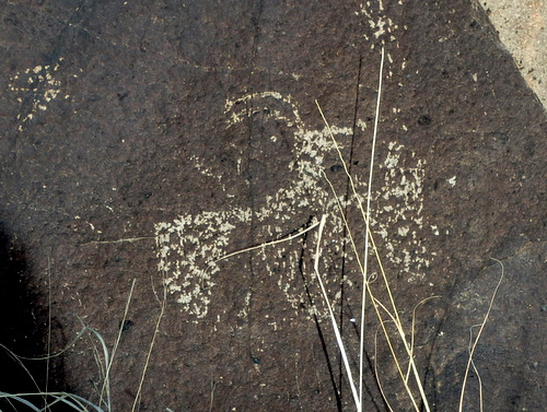 Three Rivers Petroglyphs Site.