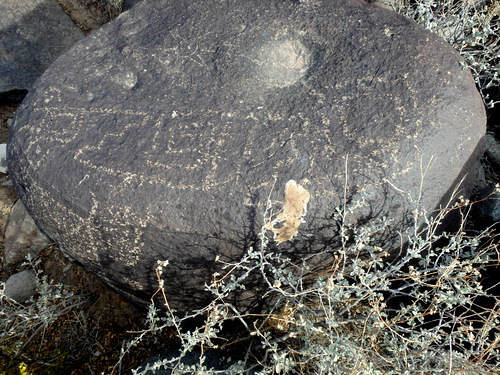 Three Rivers Petroglyphs Site.