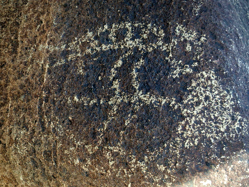 Three Rivers Petroglyphs Site.