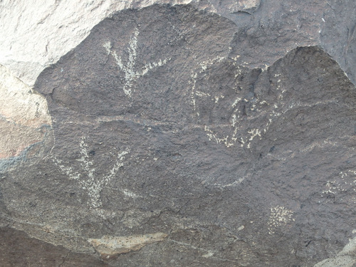 Three Rivers Petroglyphs Site.