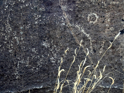 Three Rivers Petroglyphs Site.