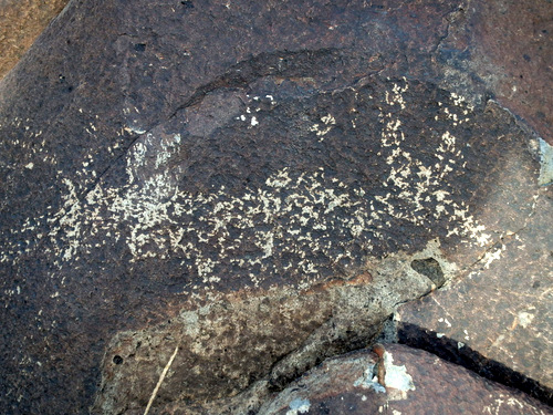 Three Rivers Petroglyphs Site.