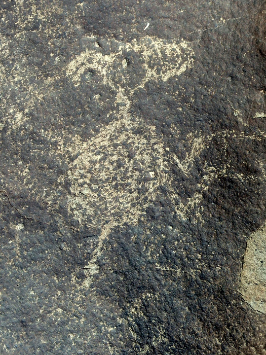 Three Rivers Petroglyphs Site.