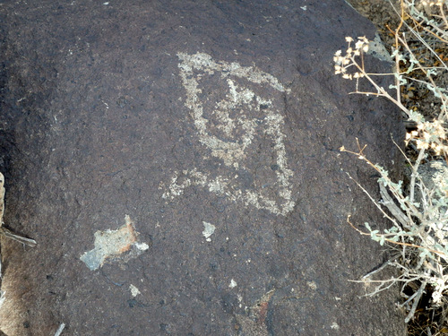 Three Rivers Petroglyphs Site.