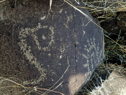 Three Rivers Petroglyphs Site.