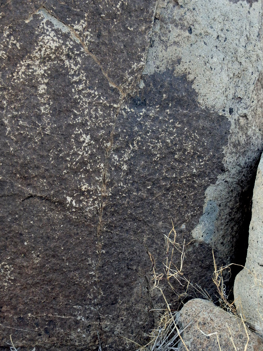 Three Rivers Petroglyphs Site.