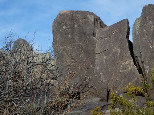 Three Rivers Petroglyphs Site.