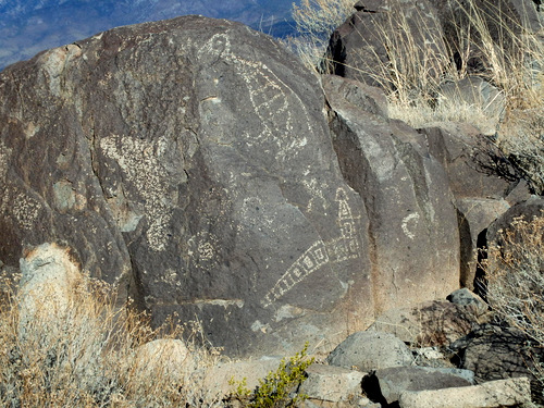 Three Rivers Petroglyphs Site.