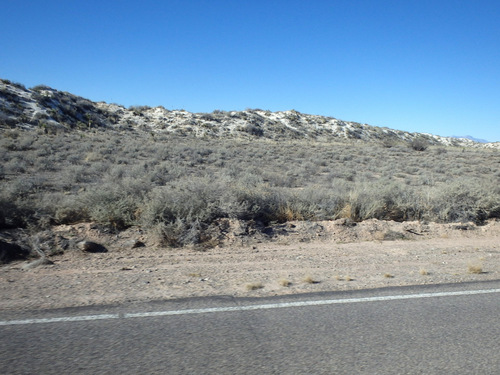 We were in the Chihuahua Desert looking at the Innerdunal Area.