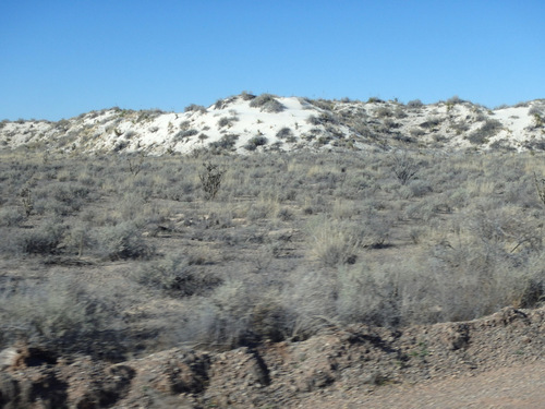 We were in the Chihuahua Desert looking at the Innerdunal Area.